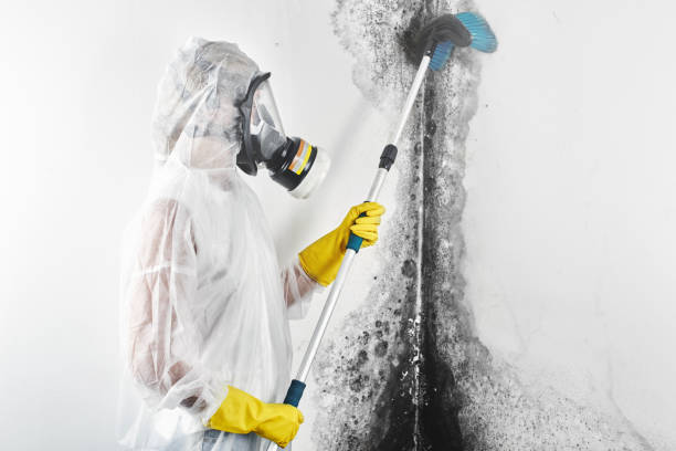 Best Real Estate Mold Inspection  in Rutgers University Busch Campus, NJ